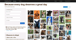 Desktop Screenshot of dogdaysout.com